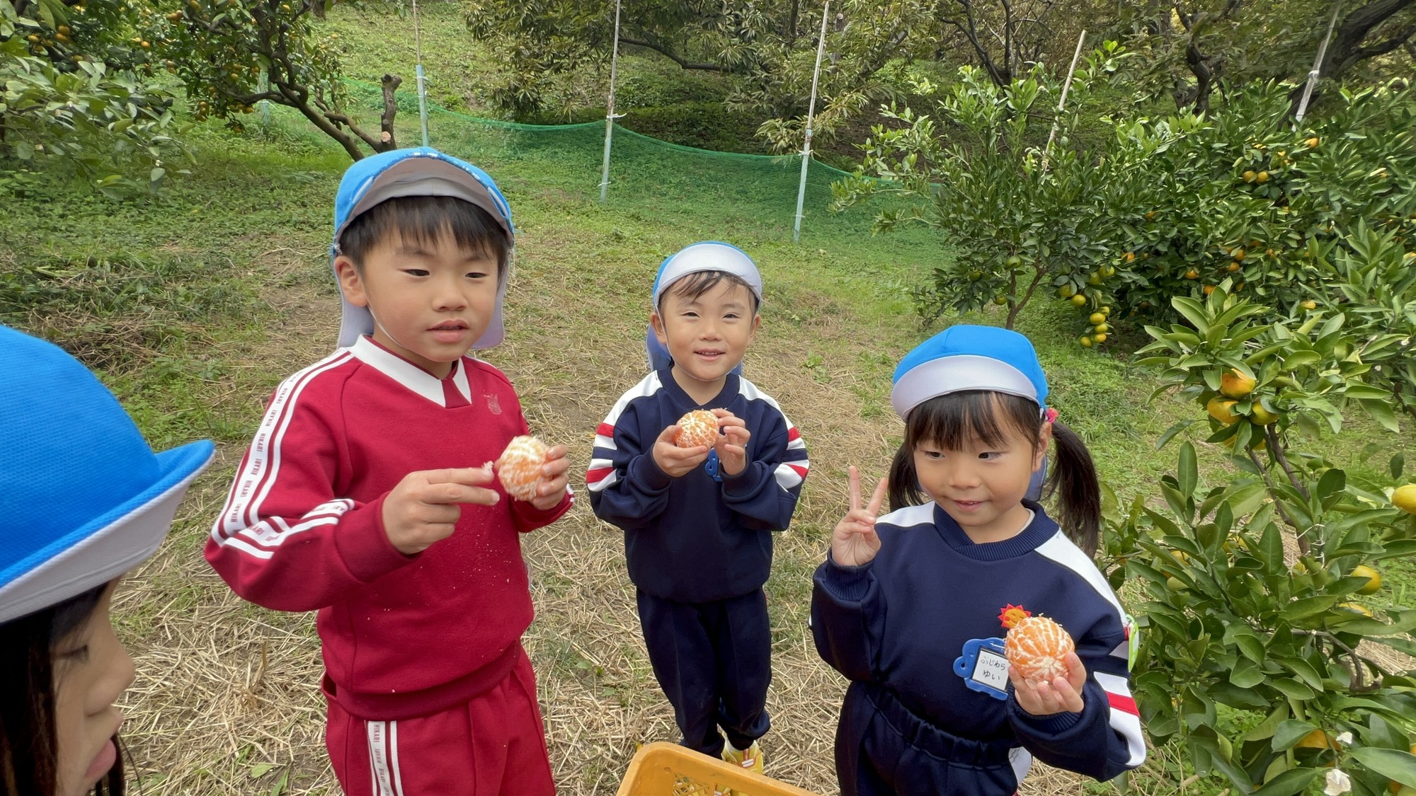 サムネイル画像