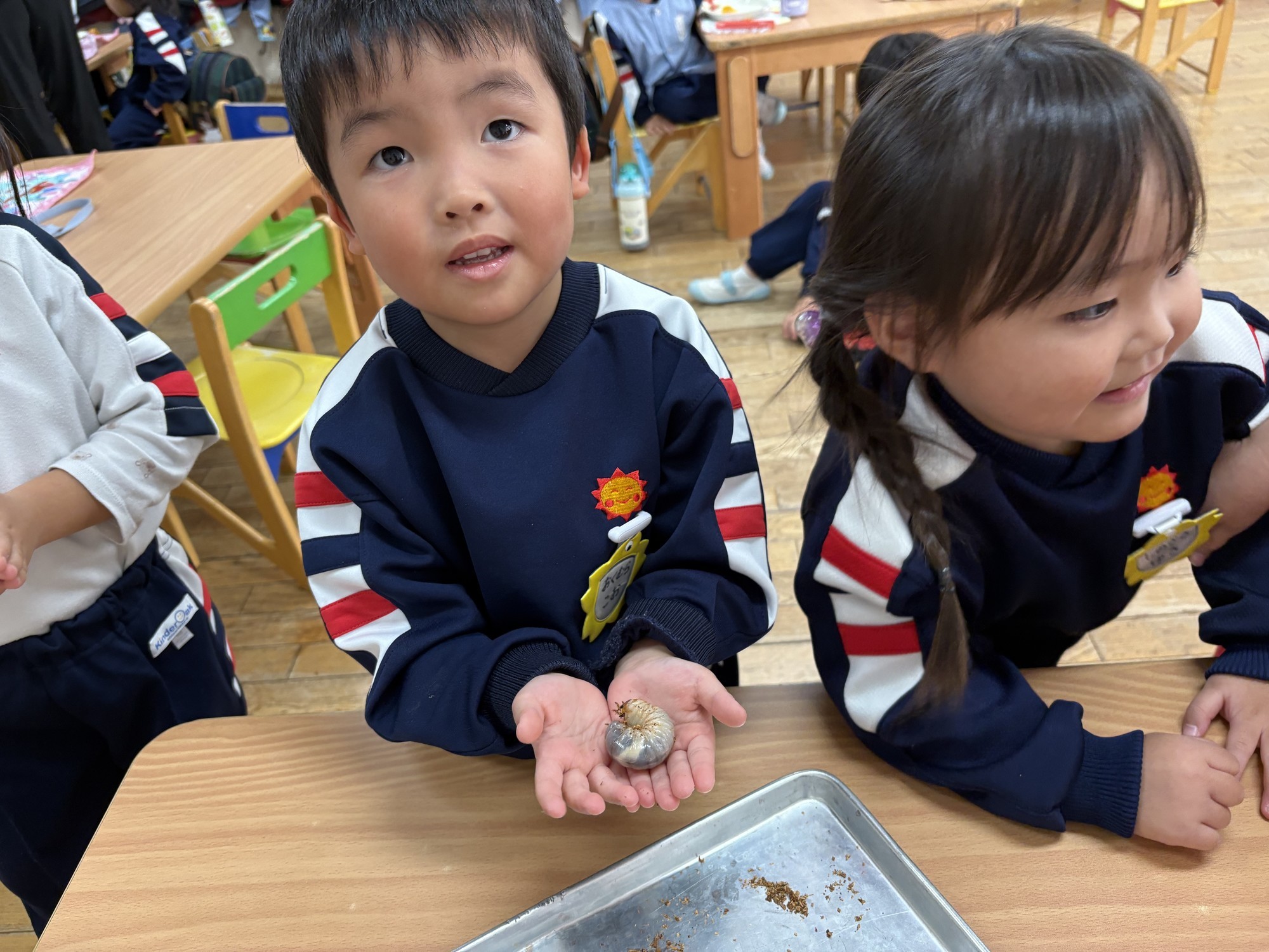 サムネイル画像