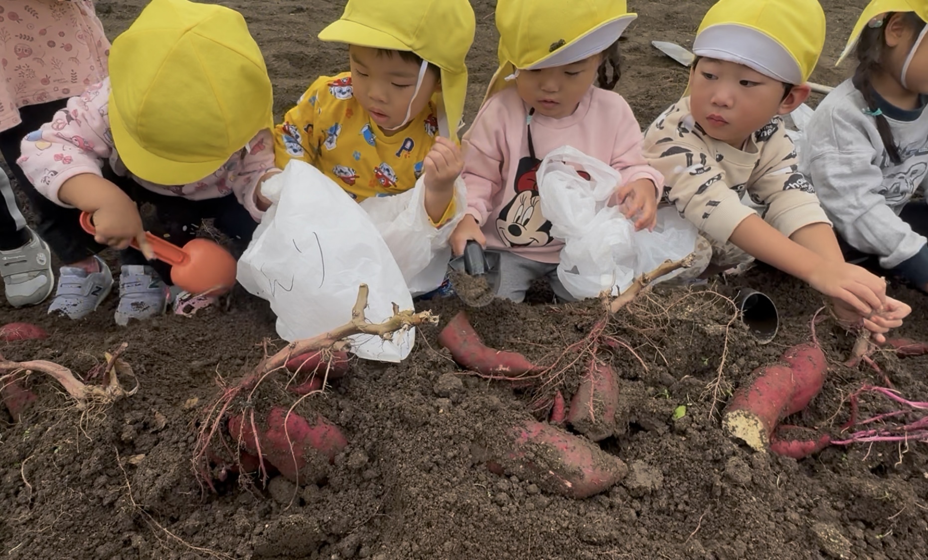 サムネイル画像