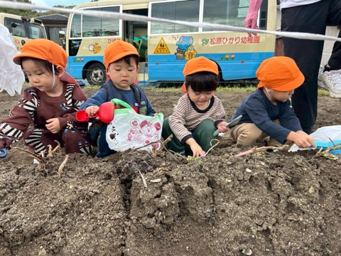 サムネイル画像